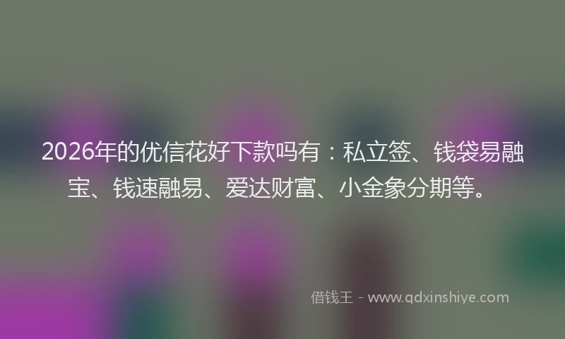 2026年的优信花好下款吗有：私立签、钱袋易融宝、钱速融易、爱达财富、小金象分期等。