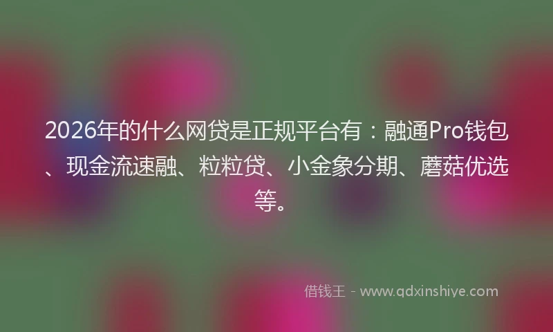 2026年的什么网贷是正规平台有：融通Pro钱包、现金流速融、粒粒贷、小金象分期、蘑菇优选等。