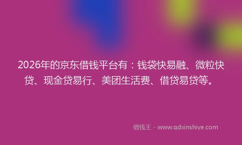 2026年的京东借钱平台有：钱袋快易融、微粒快贷、现金贷易行、美团生活费、借贷易贷等。