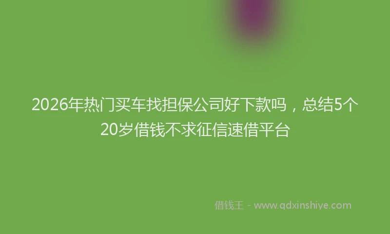2026年热门买车找担保公司好下款吗，总结5个20岁借钱不求征信速借平台