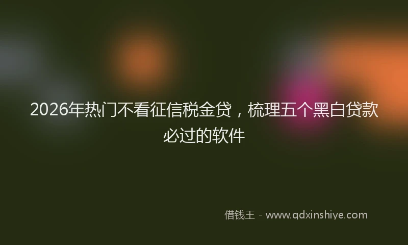 2026年热门不看征信税金贷，梳理五个黑白贷款必过的软件
