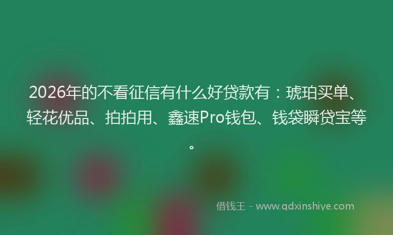 2026年的不看征信有什么好贷款有：琥珀买单、轻花优品、拍拍用、鑫速Pro钱包、钱袋瞬贷宝等。