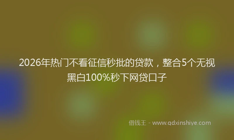 2026年热门不看征信秒批的贷款，整合5个无视黑白100%秒下网贷口子