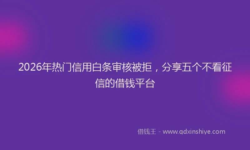 2026年热门信用白条审核被拒，分享五个不看征信的借钱平台