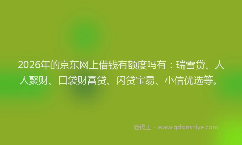 2026年的京东网上借钱有额度吗有：瑞雪贷、人人聚财、口袋财富贷、闪贷宝易、小信优选等。