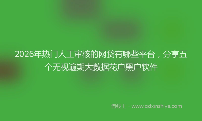 2026年热门人工审核的网贷有哪些平台，分享五个无视逾期大数据花户黑户软件