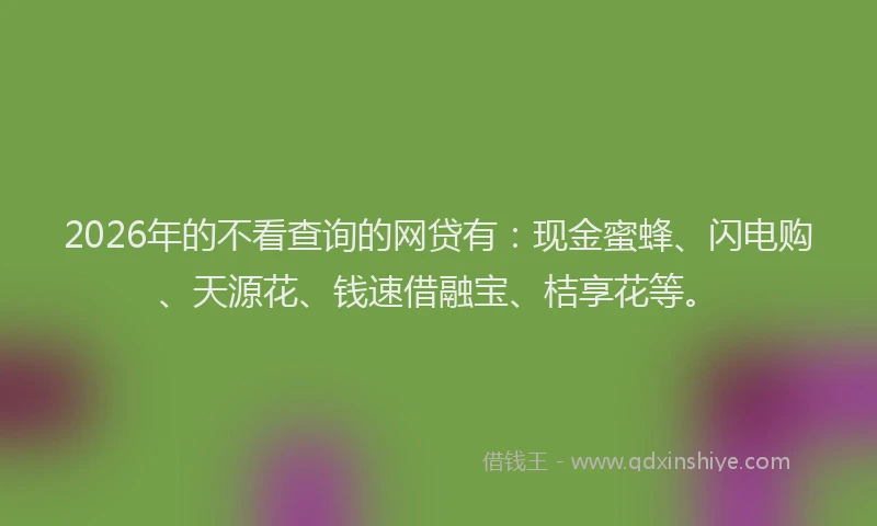 2026年的不看查询的网贷有：现金蜜蜂、闪电购、天源花、钱速借融宝、桔享花等。