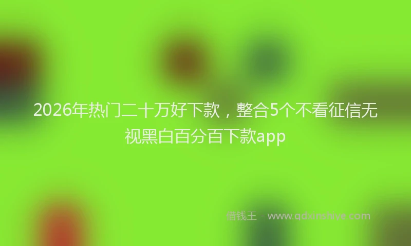 2026年热门二十万好下款，整合5个不看征信无视黑白百分百下款app