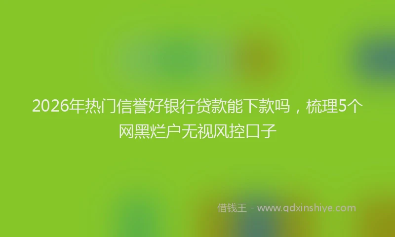 2026年热门信誉好银行贷款能下款吗，梳理5个网黑烂户无视风控口子