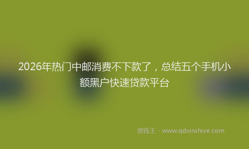 2026年热门中邮消费不下款了，总结五个手机小额黑户快速贷款平台