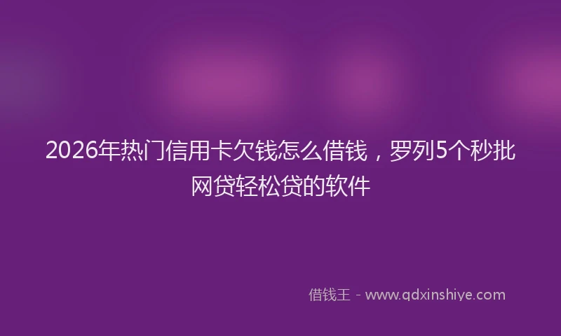 2026年热门信用卡欠钱怎么借钱，罗列5个秒批网贷轻松贷的软件