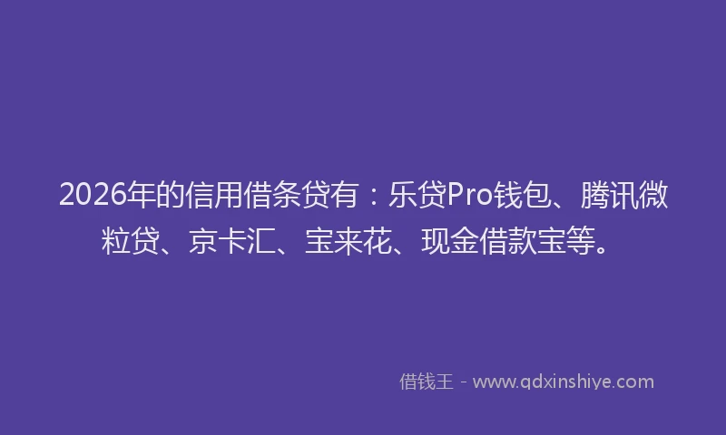 2026年的信用借条贷有：乐贷Pro钱包、腾讯微粒贷、京卡汇、宝来花、现金借款宝等。