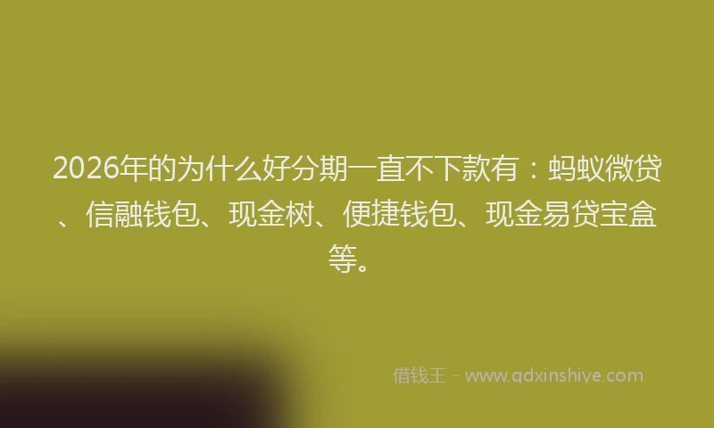 2026年的为什么好分期一直不下款有：蚂蚁微贷、信融钱包、现金树、便捷钱包、现金易贷宝盒等。