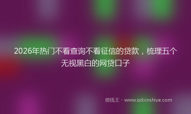 2026年热门不看查询不看征信的贷款，梳理五个无视黑白的网贷口子