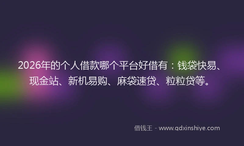 2026年的个人借款哪个平台好借有：钱袋快易、现金站、新机易购、麻袋速贷、粒粒贷等。