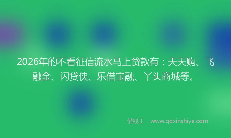 2026年的不看征信流水马上贷款有：天天购、飞融金、闪贷侠、乐借宝融、丫头商城等。