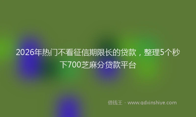 2026年热门不看征信期限长的贷款，整理5个秒下700芝麻分贷款平台
