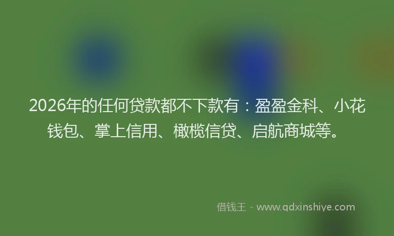 2026年的任何贷款都不下款有：盈盈金科、小花钱包、掌上信用、橄榄信贷、启航商城等。