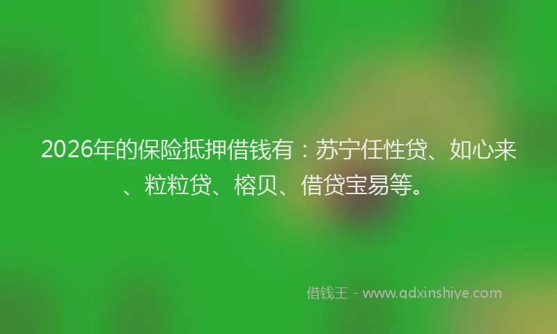 2026年的保险抵押借钱有：苏宁任性贷、如心来、粒粒贷、榕贝、借贷宝易等。