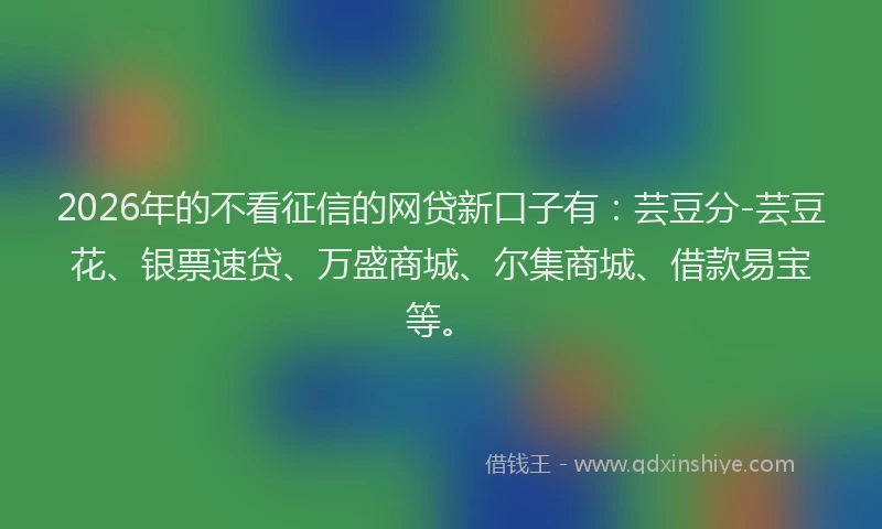 2026年的不看征信的网贷新口子有：芸豆分-芸豆花、银票速贷、万盛商城、尔集商城、借款易宝等。