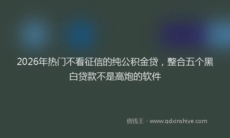 2026年热门不看征信的纯公积金贷，整合五个黑白贷款不是高炮的软件