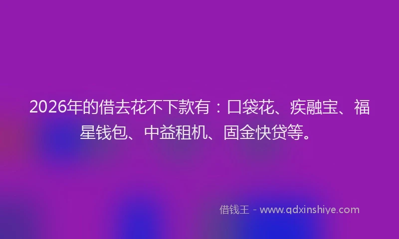 2026年的借去花不下款有：口袋花、疾融宝、福星钱包、中益租机、固金快贷等。
