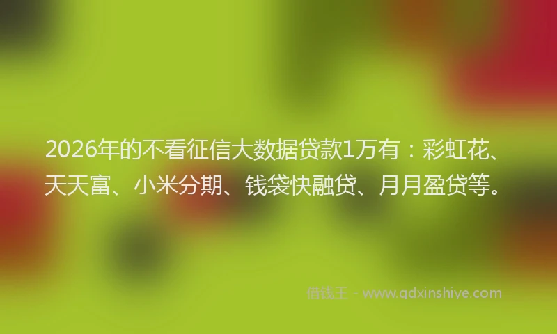 2026年的不看征信大数据贷款1万有：彩虹花、天天富、小米分期、钱袋快融贷、月月盈贷等。