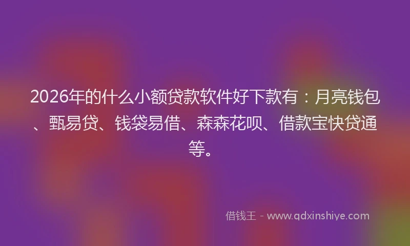2026年的什么小额贷款软件好下款有：月亮钱包、甄易贷、钱袋易借、森森花呗、借款宝快贷通等。