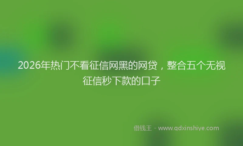 2026年热门不看征信网黑的网贷，整合五个无视征信秒下款的口子