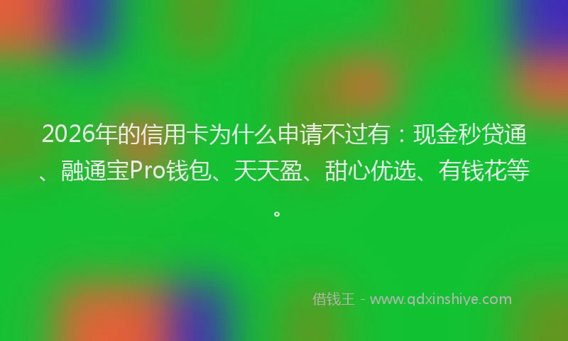 2026年的信用卡为什么申请不过有：现金秒贷通、融通宝Pro钱包、天天盈、甜心优选、有钱花等。