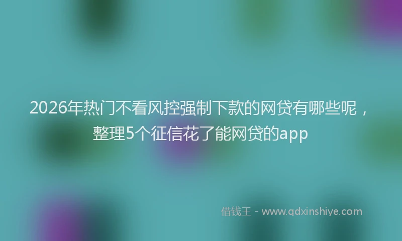 2026年热门不看风控强制下款的网贷有哪些呢，整理5个征信花了能网贷的app