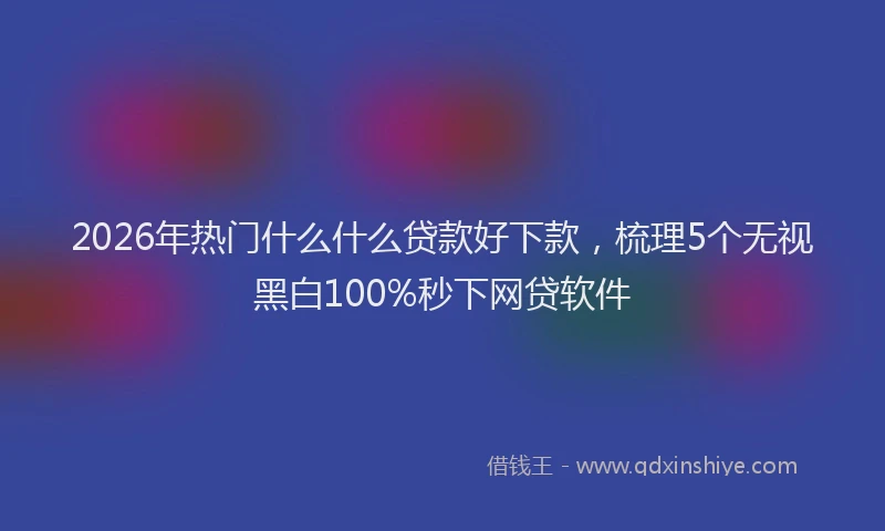 2026年热门什么什么贷款好下款，梳理5个无视黑白100%秒下网贷软件