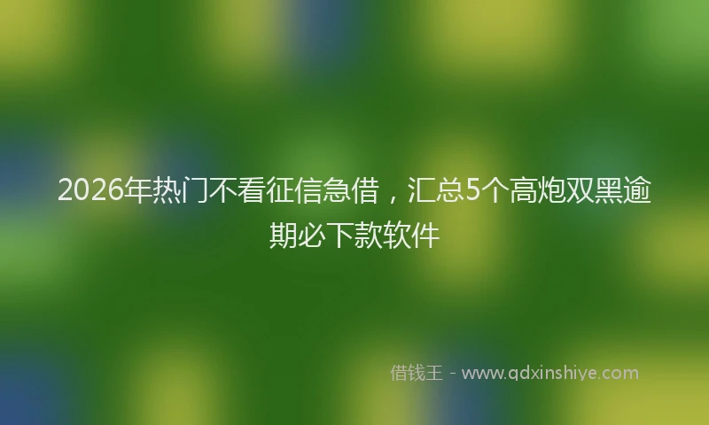 2026年热门不看征信急借，汇总5个高炮双黑逾期必下款软件