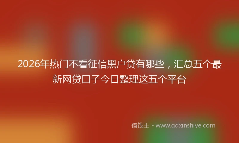 2026年热门不看征信黑户贷有哪些，汇总五个最新网贷口子今日整理这五个平台