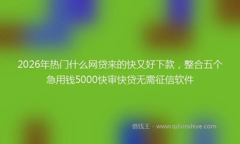 2026年热门什么网贷来的快又好下款，整合五个急用钱5000快审快贷无需征信软件