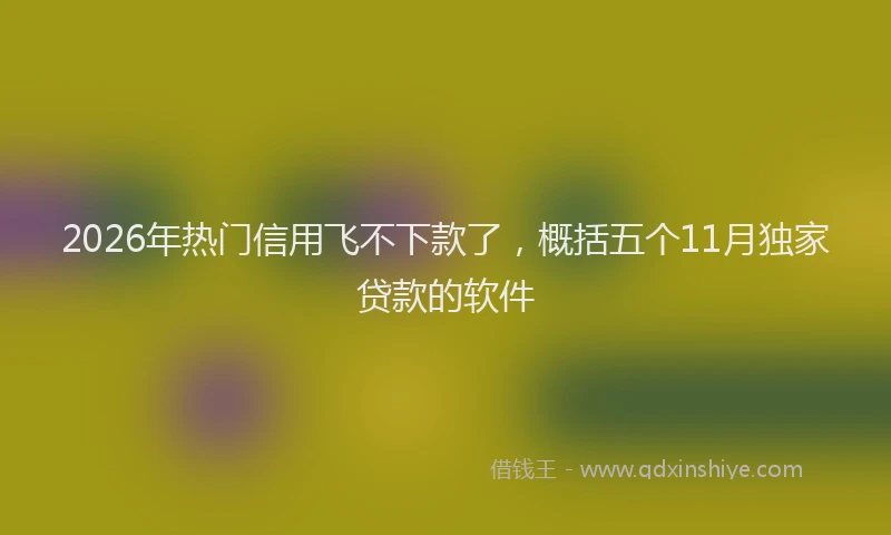 2026年热门信用飞不下款了，概括五个11月独家贷款的软件