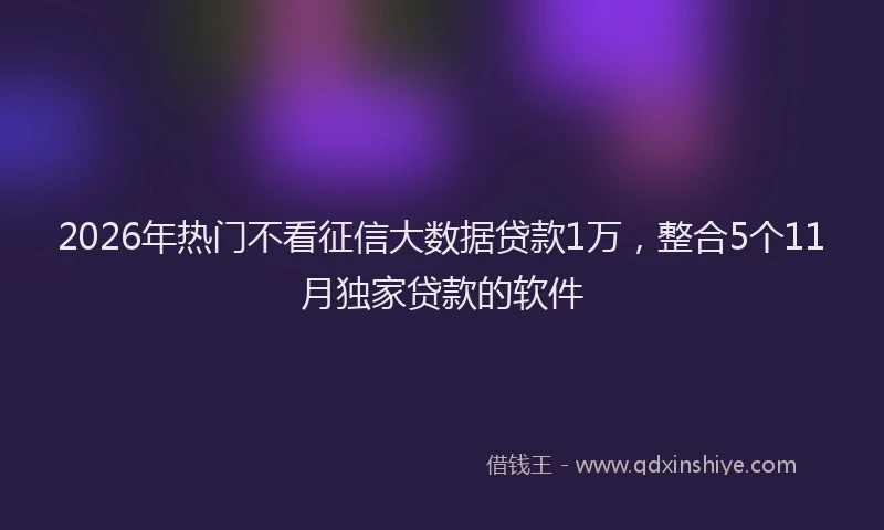 2026年热门不看征信大数据贷款1万，整合5个11月独家贷款的软件