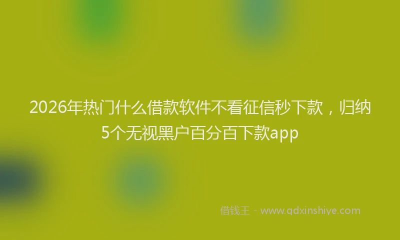 2026年热门什么借款软件不看征信秒下款，归纳5个无视黑户百分百下款app