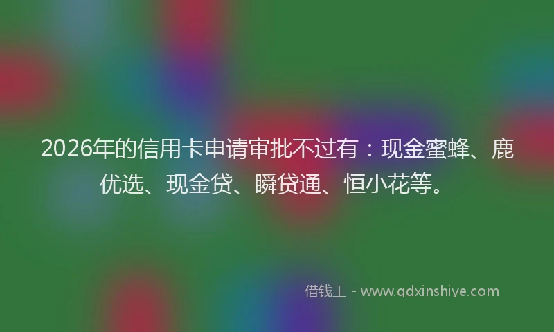 2026年的信用卡申请审批不过有：现金蜜蜂、鹿优选、现金贷、瞬贷通、恒小花等。