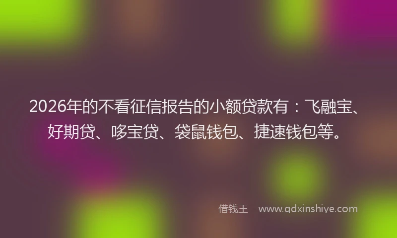 2026年的不看征信报告的小额贷款有：飞融宝、好期贷、哆宝贷、袋鼠钱包、捷速钱包等。