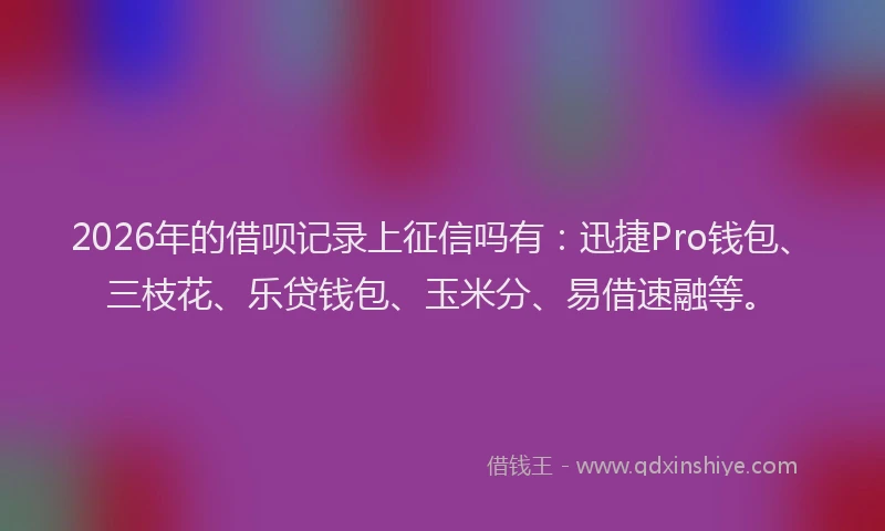 2026年的借呗记录上征信吗有：迅捷Pro钱包、三枝花、乐贷钱包、玉米分、易借速融等。