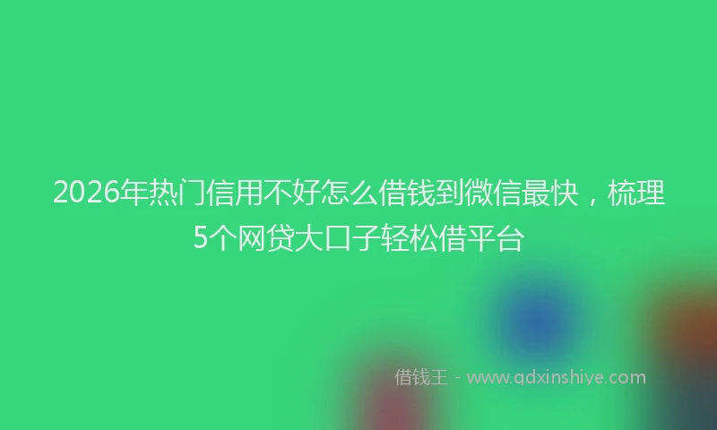 2026年热门信用不好怎么借钱到微信最快，梳理5个网贷大口子轻松借平台