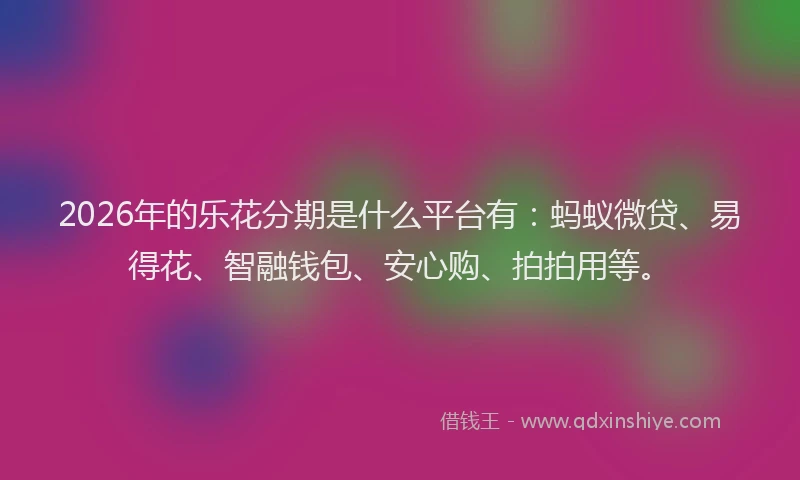 2026年的乐花分期是什么平台有：蚂蚁微贷、易得花、智融钱包、安心购、拍拍用等。