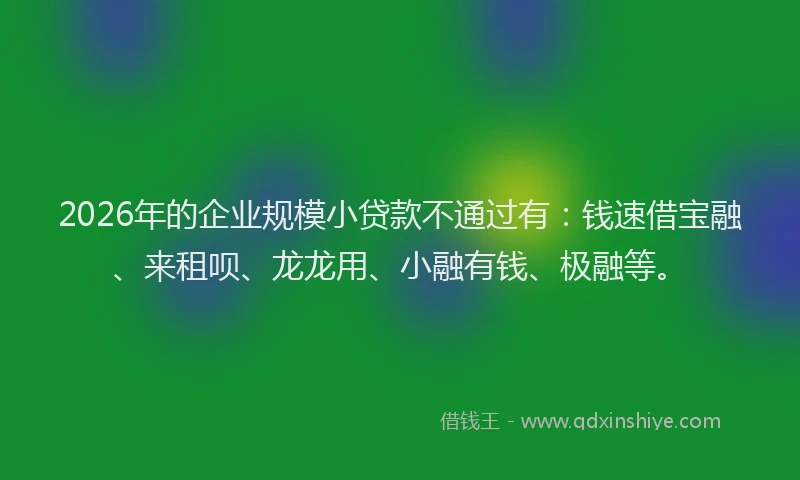 2026年的企业规模小贷款不通过有：钱速借宝融、来租呗、龙龙用、小融有钱、极融等。