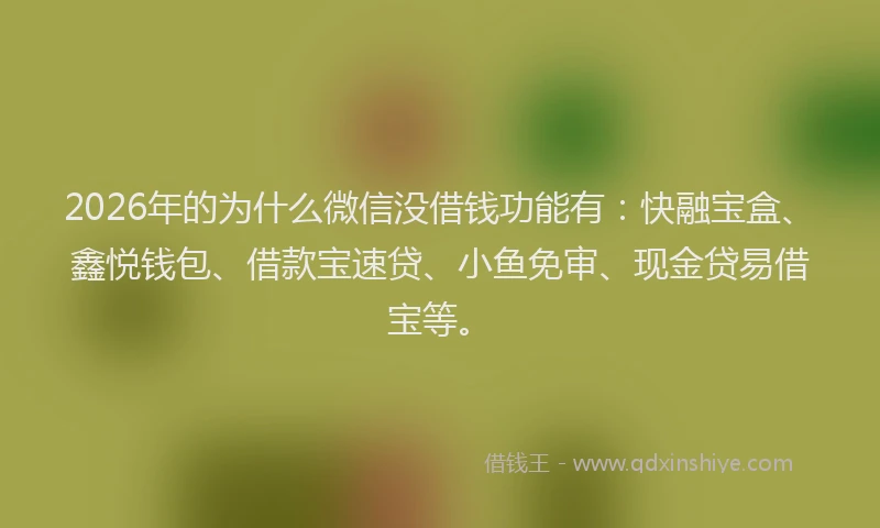 2026年的为什么微信没借钱功能有：快融宝盒、鑫悦钱包、借款宝速贷、小鱼免审、现金贷易借宝等。