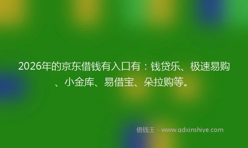 2026年的京东借钱有入口有：钱贷乐、极速易购、小金库、易借宝、朵拉购等。