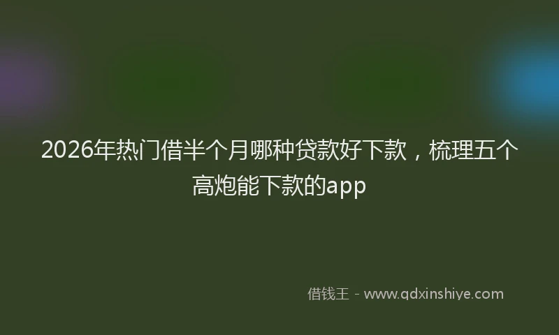 2026年热门借半个月哪种贷款好下款，梳理五个高炮能下款的app