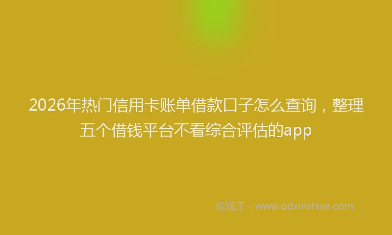 2026年热门信用卡账单借款口子怎么查询，整理五个借钱平台不看综合评估的app