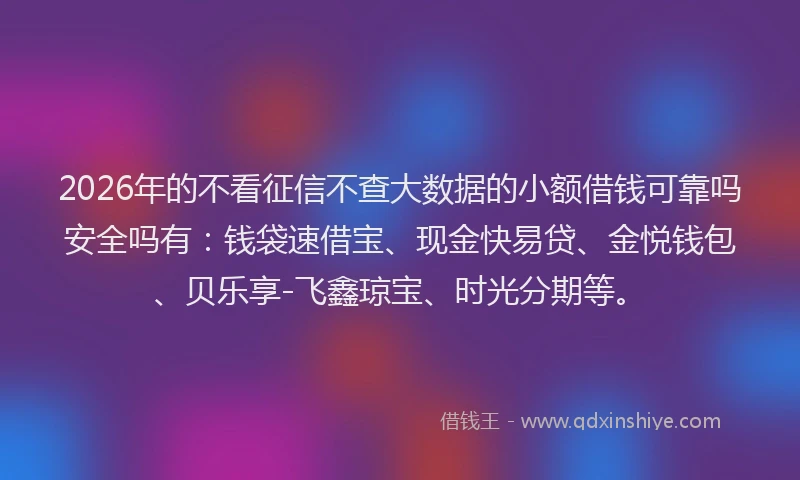 2026年的不看征信不查大数据的小额借钱可靠吗安全吗有：钱袋速借宝、现金快易贷、金悦钱包、贝乐享-飞鑫琼宝、时光分期等。