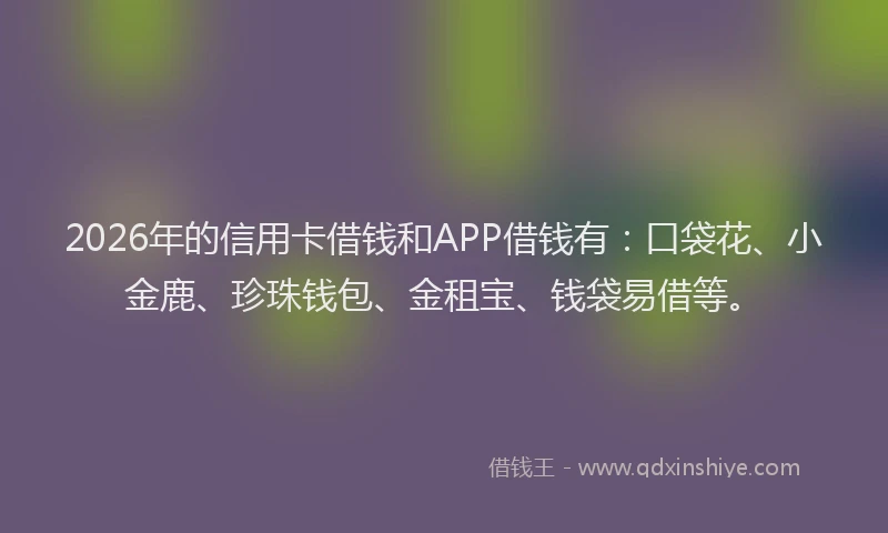 2026年的信用卡借钱和APP借钱有：口袋花、小金鹿、珍珠钱包、金租宝、钱袋易借等。